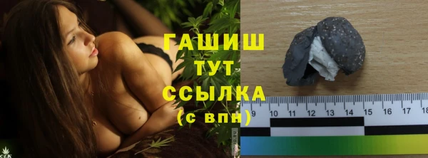 прущие грибы Алзамай