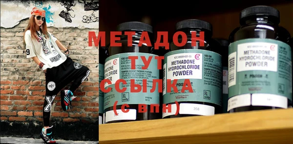 прущие грибы Алзамай