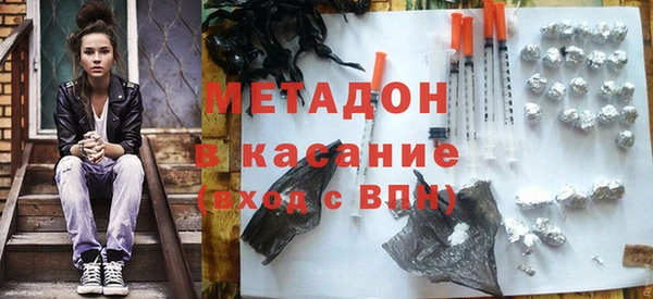 прущие грибы Алзамай